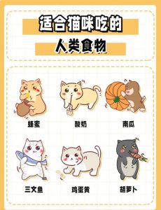 小奶猫能吃的20种食物_猫粮为主，辅食为辅