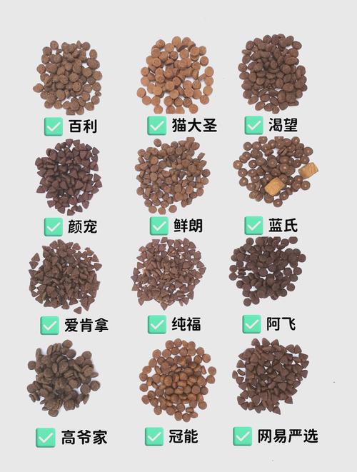 猫可以吃什么代替猫粮_猫咪主食鸡肉,少量蔬菜,谷物慎用,猫粮最佳 猫可以吃什么代替猫粮_猫咪主食鸡肉,少量蔬菜,谷物慎用,猫粮最佳