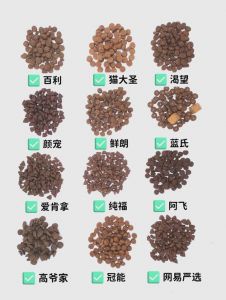 猫可以吃什么代替猫粮_猫咪主食鸡肉，少量蔬菜，谷物慎用，猫粮最佳