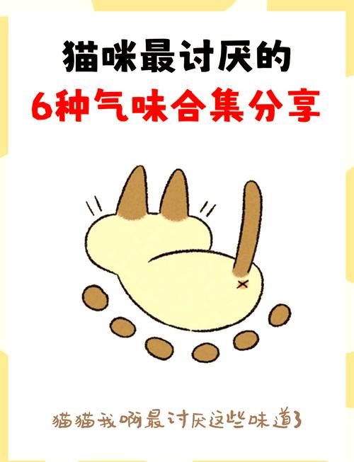 猫讨厌什么味道会避开_柠檬醋香水等