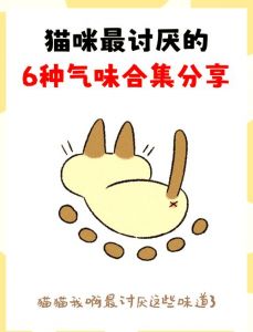 猫讨厌什么味道会避开_柠檬醋香水等