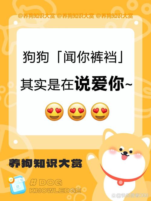 狗闻裤裆的民间说法_狗狗闻裤裆是爱的交流,确认身份与关心主人 狗闻裤裆的民间说法_狗狗闻裤裆是爱的交流,确认身份与关心主人