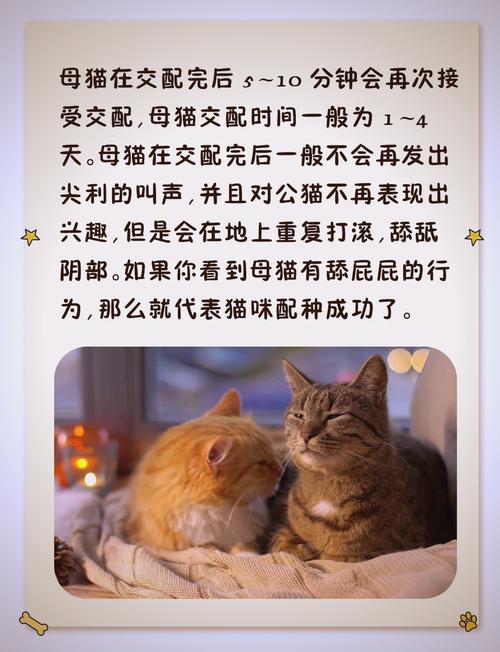 猫发了情一般持续几天_猫咪春秋发情期怎么办? 猫发了情一般持续几天_猫咪春秋发情期怎么办?
