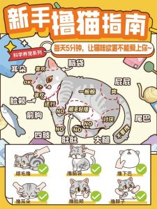 如何快速让猫不叫_猫咪叫唤怎么办？解决方法来了！