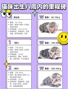 一周岁猫生小猫注意事项_母猫怀孕迹象及产后护理要点