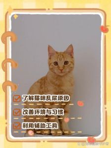 如何防止猫在床上乱尿_猫咪床上乱尿怎么办？