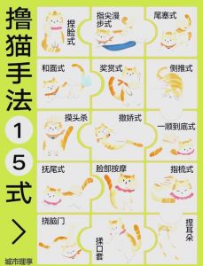 对猫进行训练时要注意哪些事项_抚摸建立信任，零食奖励积极行为