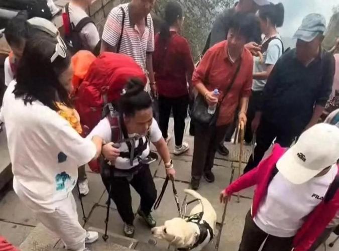 我国导盲犬伤人事件_导盲犬权益需保障,别被误解伤了心 我国导盲犬伤人事件_导盲犬权益需保障,别被误解伤了心
