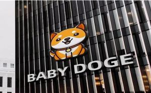 baby口令狗11种指令_狗狗口令训练，增进了主人的信任和依赖