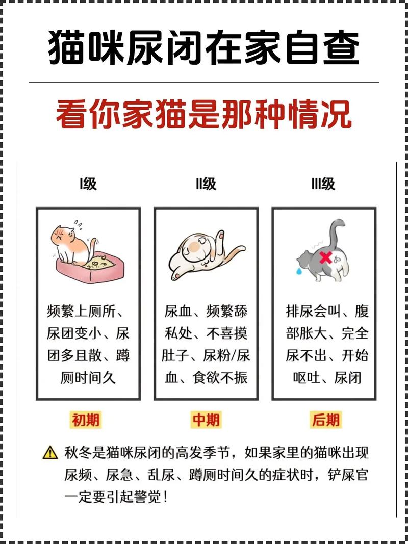 邻居养猫臭味太大怎么办_猫臭来源及解决方法 邻居养猫臭味太大怎么办_猫臭来源及解决方法