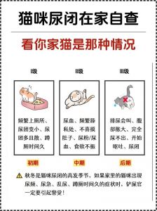 邻居养猫臭味太大怎么办_猫臭来源及解决方法