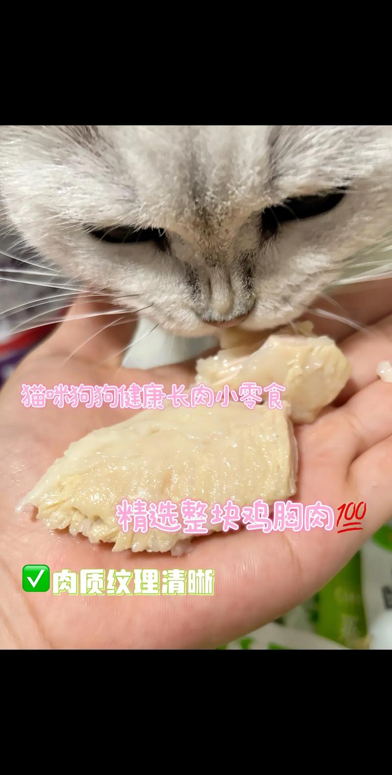 猫可以每天吃鸡胸肉吗_每周2-3次适量煮熟 猫可以每天吃鸡胸肉吗_每周2-3次适量煮熟