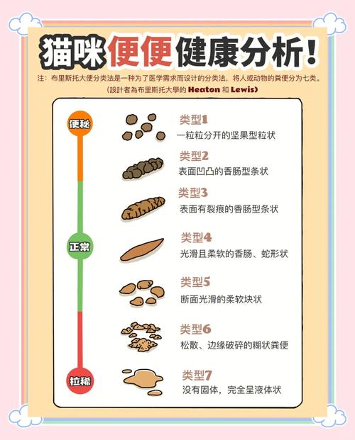 猫猫一天拉屎几次_猫咪几天排便一次算正常? 猫猫一天拉屎几次_猫咪几天排便一次算正常?