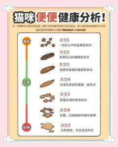 猫猫一天拉屎几次_猫咪几天排便一次算正常？