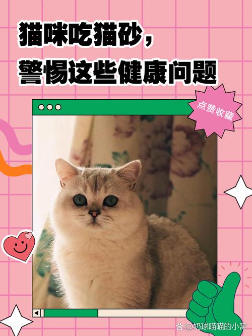 猫突然吃猫砂是怎么回事_猫咪吃猫砂?健康或心理问题,速看兽医! 猫突然吃猫砂是怎么回事_猫咪吃猫砂?健康或心理问题,速看兽医!