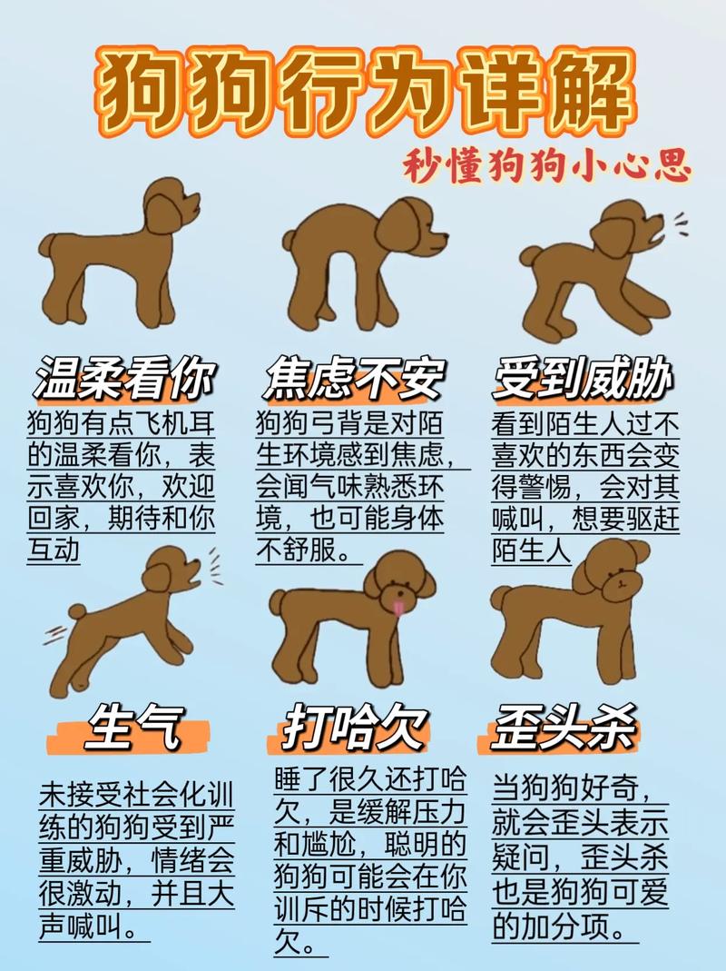 和狗狗打扑克的注意事项_小黄狗狗打牌爆红网络,专注可爱引热议 和狗狗打扑克的注意事项_小黄狗狗打牌爆红网络,专注可爱引热议