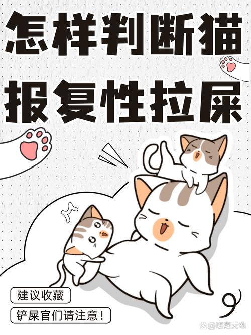 怎样判断猫报复性拉屎_猫咪报复乱拉屎？主子宣泄不满，快试试这几招！