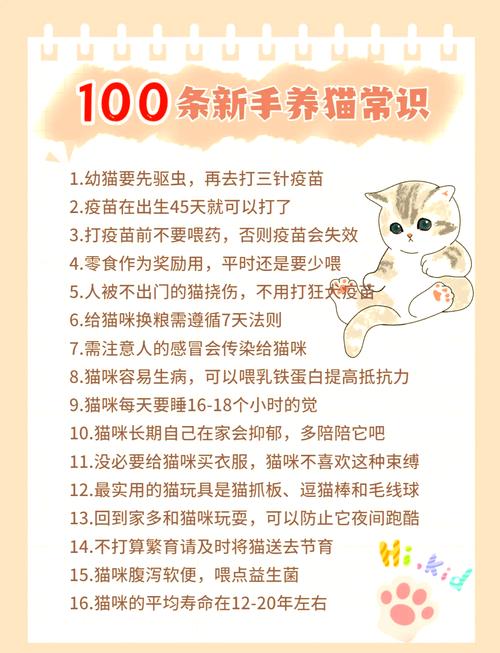 猫冬季生小猫注意事项_小猫生产护理要点 猫冬季生小猫注意事项_小猫生产护理要点