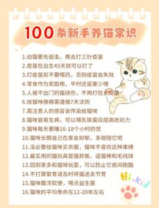 猫冬季生小猫注意事项_小猫生产护理要点