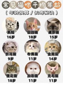 猫成年几个月_猫咪几月成熟？性格稳定要等几年？