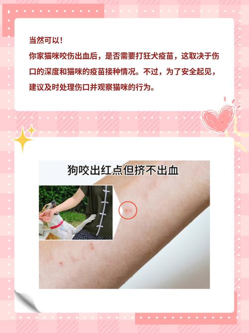 猫猫知道自己咬伤了主人吗_猫咪咬人原因多,理解它不愧疚 猫猫知道自己咬伤了主人吗_猫咪咬人原因多,理解它不愧疚