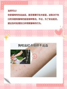 猫猫知道自己咬伤了主人吗_猫咪咬人原因多，理解它不愧疚