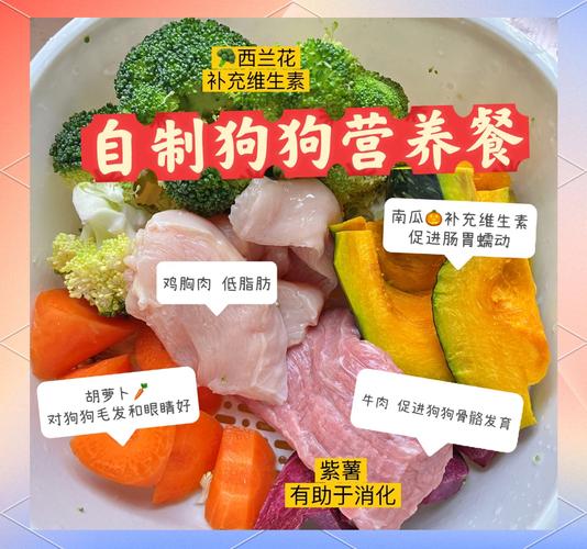 狗偏瘦吃什么可以迅速增肥_科学增重养瘦狗,营养运动驱虫好方法! 狗偏瘦吃什么可以迅速增肥_科学增重养瘦狗,营养运动驱虫好方法!