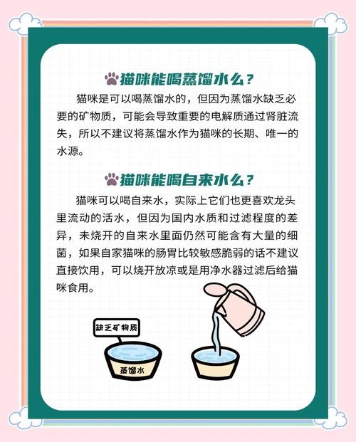猫应该喝什么水才正确_凉白开最理想 猫应该喝什么水才正确_凉白开最理想
