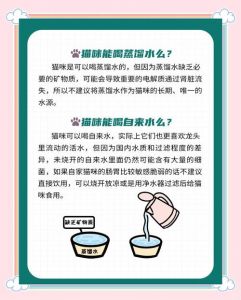 猫应该喝什么水才正确_凉白开最理想