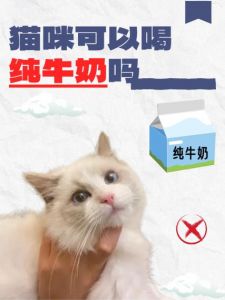 猫奶是什么味道_猫咪奶水像咖啡伴侣？淡咸味，人类能喝吗？