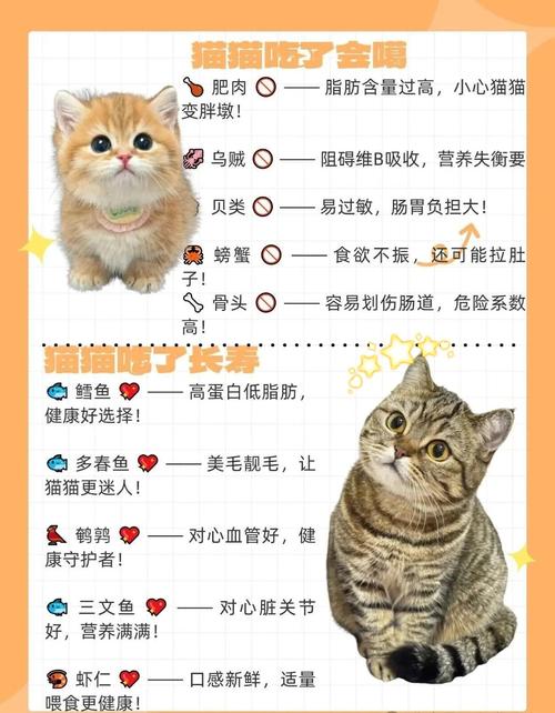 管教小猫的21种方式攻略_管教猫咪别打骂,温柔引导更有效 管教小猫的21种方式攻略_管教猫咪别打骂,温柔引导更有效
