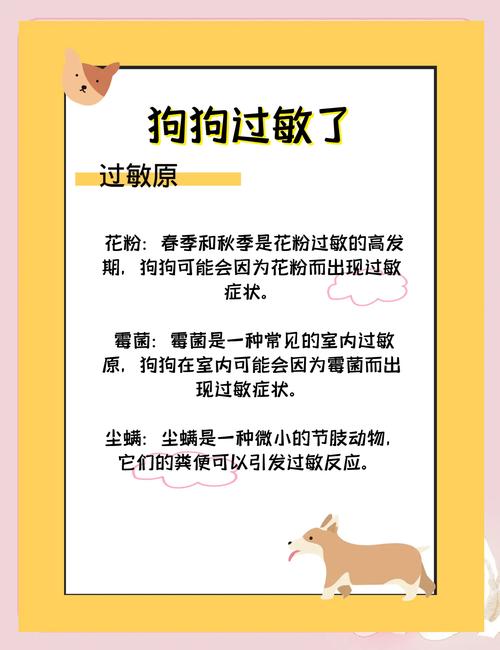 如何判断自己对狗毛过敏_接触狗后过敏怎么办？