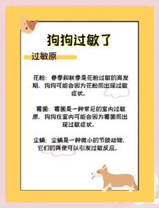 如何判断自己对狗毛过敏_接触狗后过敏怎么办？