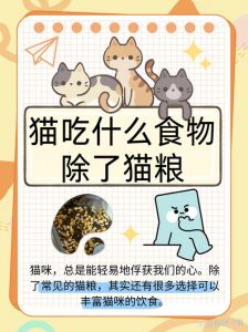 猫除了吃猫粮还能吃什么_安全肉类蔬果搭配指南