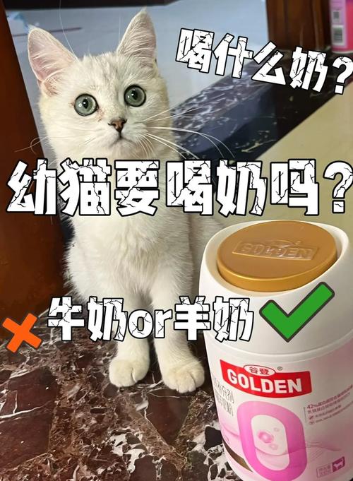猫猫能不能喝酸奶_猫咪可少量食无糖无添加酸奶助消化,注意是零食,含糖添加剂有害 猫猫能不能喝酸奶_猫咪可少量食无糖无添加酸奶助消化,注意是零食,含糖添加剂有害