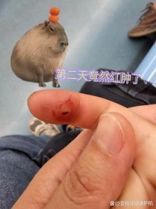 被仓鼠舔了嘴巴_仓鼠舔舐藏食咬伤行为解析