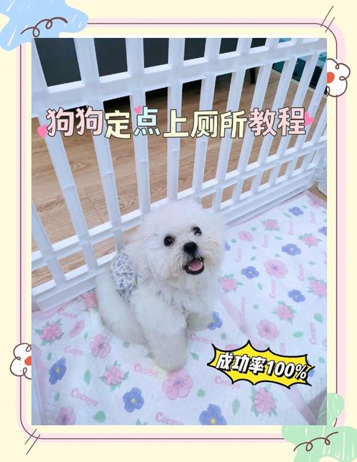 狗厕所上的屎怎么清理_快速清理狗狗便便妙招 狗厕所上的屎怎么清理_快速清理狗狗便便妙招