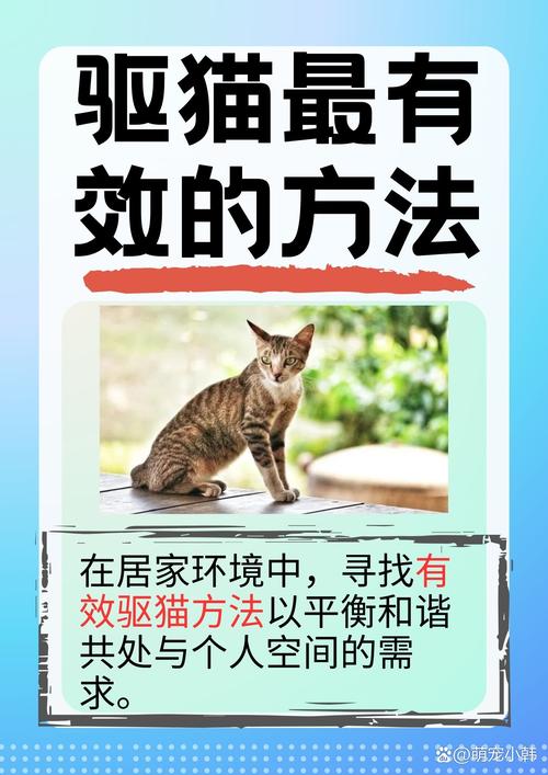 对付野猫最狠的一招_野猫讨厌这些，用它们驱赶，保持人道