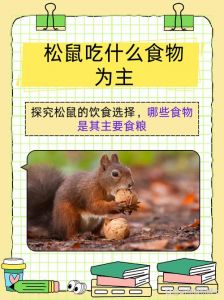野生松鼠吃什么食物_松鼠爱吃坚果五谷，磨牙补充营养，助生态平衡