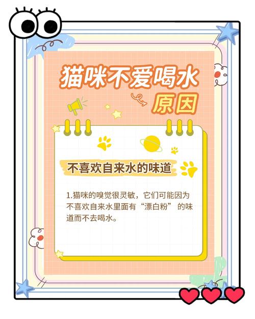 猫不喝水，让猫自生自灭可以吗_猫咪饮水重要！防脱水多喝水