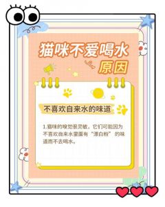 猫不喝水，让猫自生自灭可以吗_猫咪饮水重要！防脱水多喝水