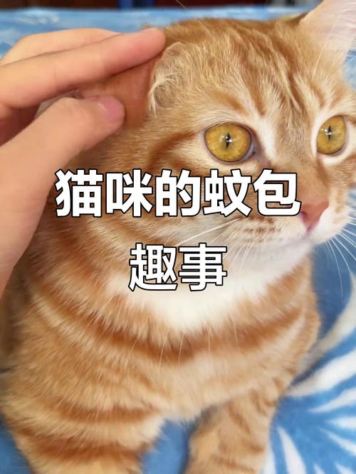 猫已经闻了2年蚊香_保护猫咪健康 猫已经闻了2年蚊香_保护猫咪健康