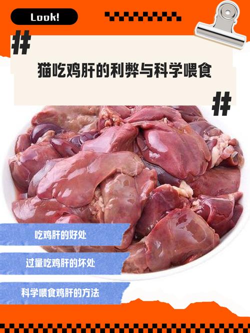 猫天天吃一个鸡肝_鸡肝养猫好,别过量煮熟喂,均衡营养最重要 猫天天吃一个鸡肝_鸡肝养猫好,别过量煮熟喂,均衡营养最重要