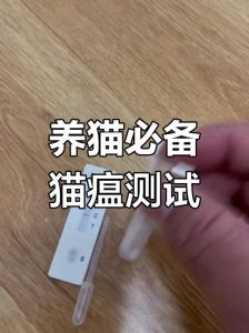 判断猫瘟最简单方法_警惕！猫瘟凶猛！幼猫挑食高烧萎靡要当心