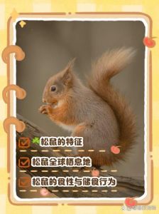 养松鼠的好处和坏处_养松鼠好还是难？优缺点与饲养提醒