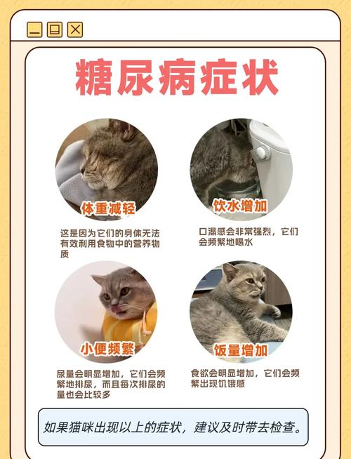 不建议猫吃复合维生素的原因_猫咪补充维生素B族要小心,选对产品更安全! 不建议猫吃复合维生素的原因_猫咪补充维生素B族要小心,选对产品更安全!