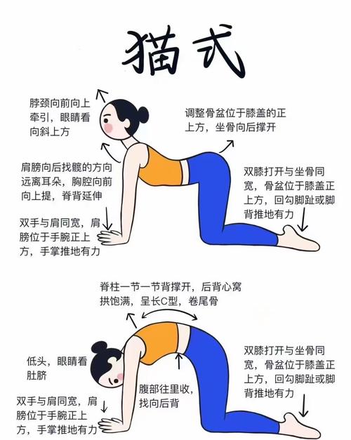 猫奴怎么训练_了解猫咪性格耐心训练,制定规则保持一致 猫奴怎么训练_了解猫咪性格耐心训练,制定规则保持一致