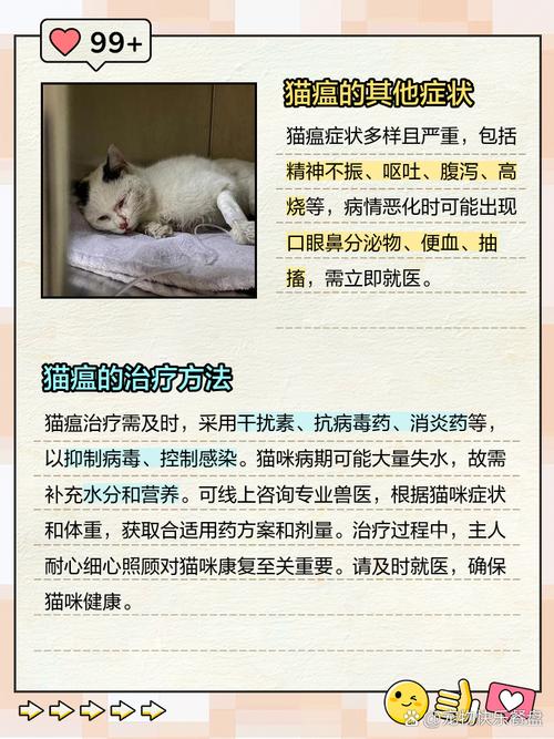 猫不吃不喝能活几天_猫咪断水更危险，拒食呕吐速就医！