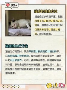 猫不吃不喝能活几天_猫咪断水更危险，拒食呕吐速就医！