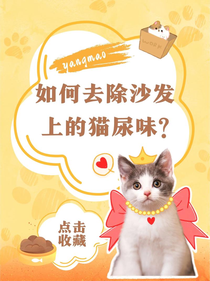 去除猫尿骚味的小妙招_去除猫尿味妙招,快速又有效 去除猫尿骚味的小妙招_去除猫尿味妙招,快速又有效
